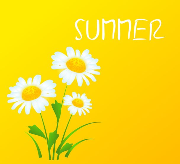 Summer season card - Photo, Image