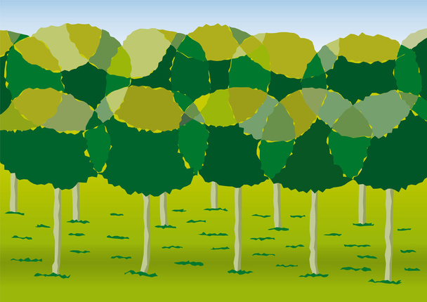 Группа деревьев
 - Вектор,изображение