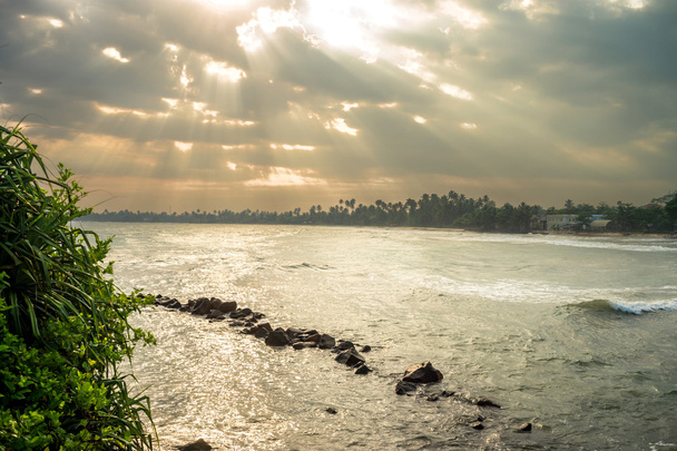 Природа Азії, Шрі-Ланка. Морські пейзажі поблизу Matara. - Фото, зображення