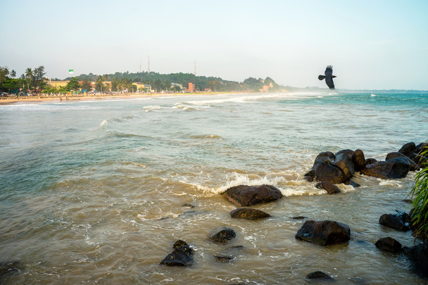 Nature of Asia, Sri Lanka. Paisajes marinos cerca de Matara
. - Foto, Imagen