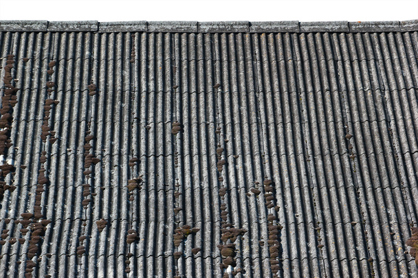 Старая выветриваемая волнистая крыша, покрытая мхом и лишайниками, изо
 - Фото, изображение