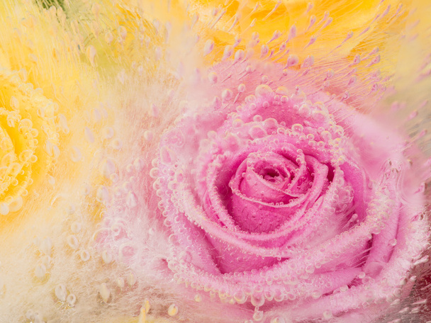 pink abstraction with rose - Foto, Imagen