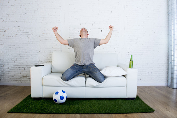 ゴールを祝う草のピッチカーペットとソファでテレビの試合を見ているサッカーファン - 写真・画像