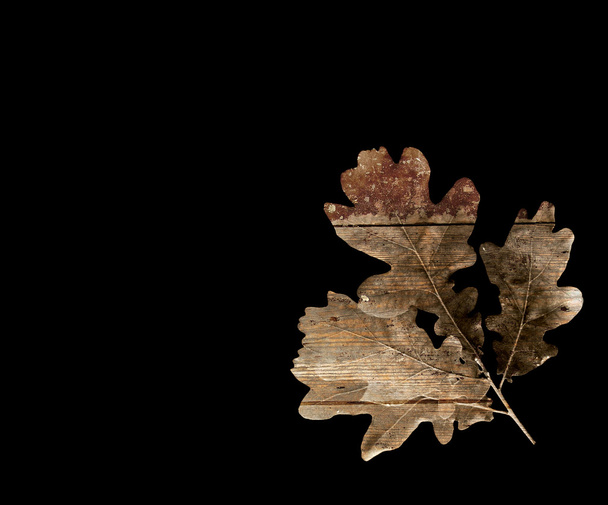 Осіннє листя на чорному
  - Фото, зображення