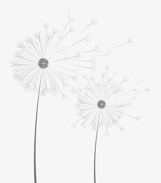 Vektorové Pampeliška květin - Vektor, obrázek