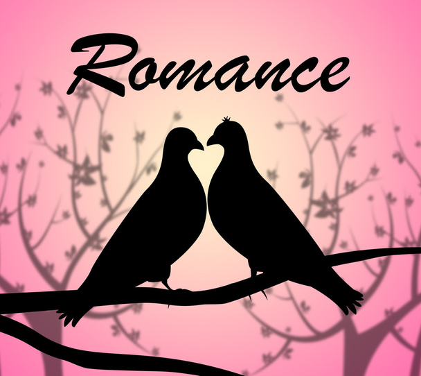 Romantik-Tauben zeigen Vogelliebe und Verehrung  - Foto, Bild
