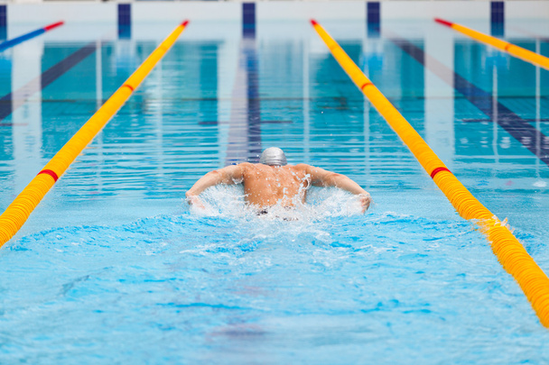 dynamic and fit swimmer in cap breathing performing the butterfly stroke - Photo, Image