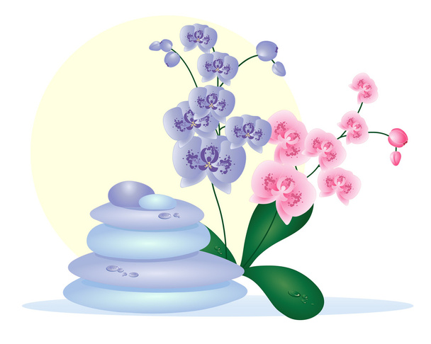 Spa pebbles with orchids - Vector, Image