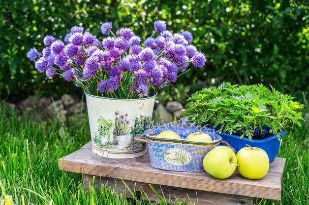 Manzanas en una canasta y algunas decoraciones de jardín sobre fondo de hierba verde y follaje. Cubo de jardín con flores de color púrpura con verdes y hierbas de fondo
. - Foto, imagen