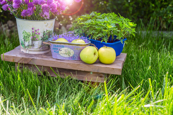 Manzanas en una canasta y algunas decoraciones de jardín sobre fondo de hierba verde y follaje. Cubo de jardín con flores de color púrpura con verdes y hierbas de fondo
. - Foto, imagen
