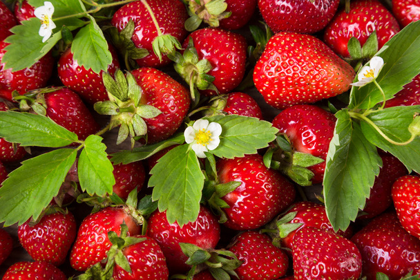 food background with plenty of strawberry - Photo, image