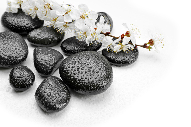 Spa stones with blooming branch - Photo, image
