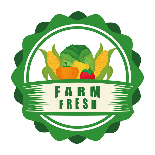 Farm friss design. bioélelmiszerek ikonra. Színes illusztrációk, vektoros - Vektor, kép