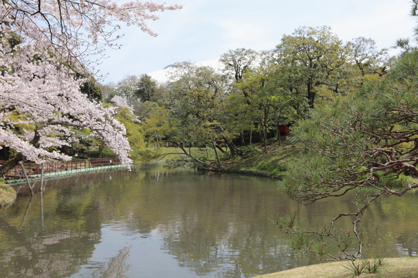 Prachtige Japanse tuin met een vijver - Foto, afbeelding