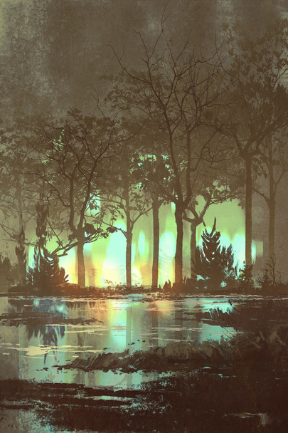 misteriosa floresta escura com luz mística à noite
 - Foto, Imagem