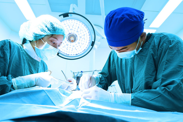 two veterinarian surgeons in operating room  - Zdjęcie, obraz