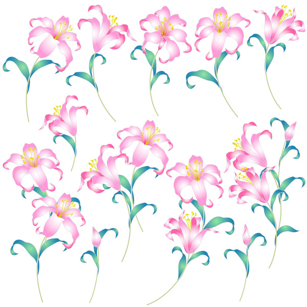 Japanese style lily - Vektor, Bild