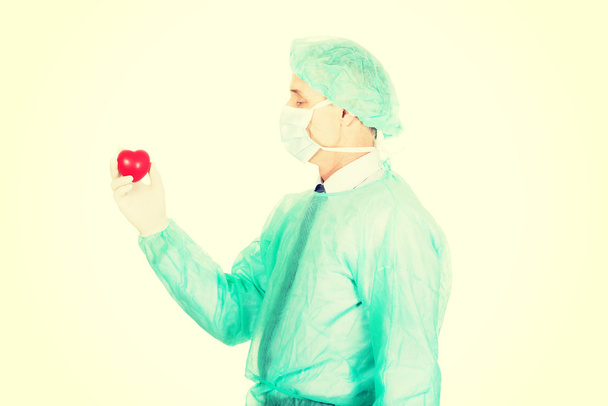 Чоловік лікар тримає модель серця
 - Фото, зображення