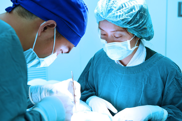 two veterinarian surgeons in operating room  - Foto, Imagem