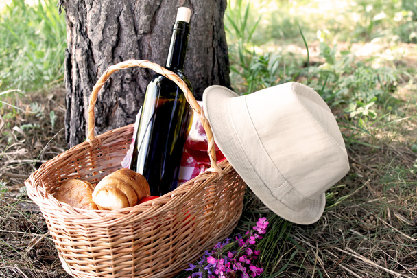 Picnic basket with a hat placed near - Photo, Image