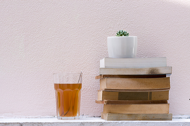Books Stacked And Cactus - Foto, afbeelding
