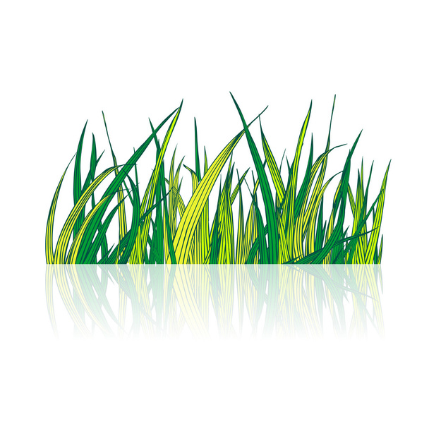 граница с зеленой травой
 - Вектор,изображение