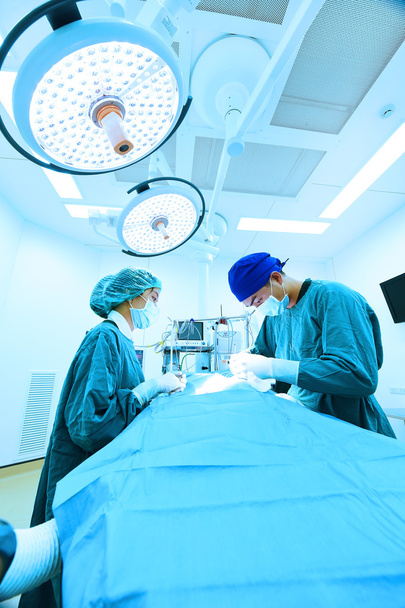 two veterinarian surgeons in operating room  - Фото, изображение