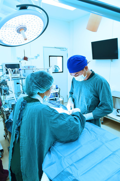 two veterinarian surgeons in operating room  - Fotografie, Obrázek