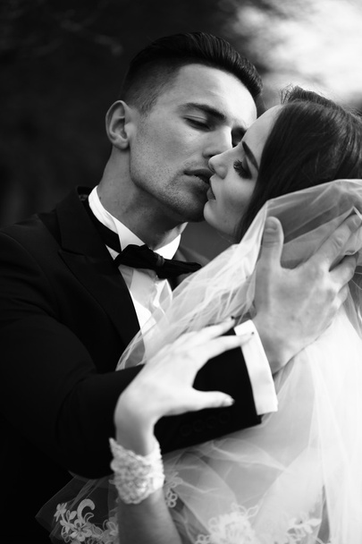 Kissing wedding couple - Fotoğraf, Görsel
