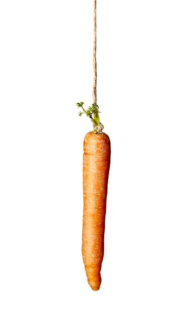 Carrot rope food vegetable hanging - Φωτογραφία, εικόνα