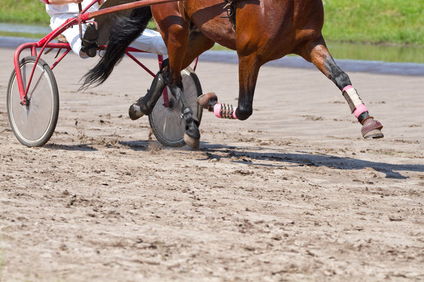 At yarışı üzerinde binici - Fotoğraf, Görsel