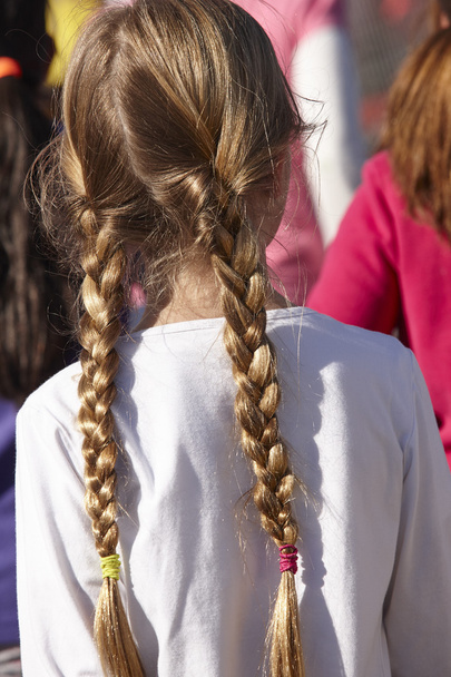 Молода дівчина з косами на спині. На відкритому повітрі. Вертикальний
 - Фото, зображення