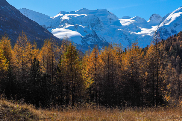 alp mountains in autumn - Photo, Image