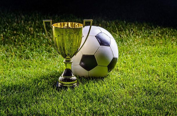 Copa de futebol com bola de futebol
 - Foto, Imagem