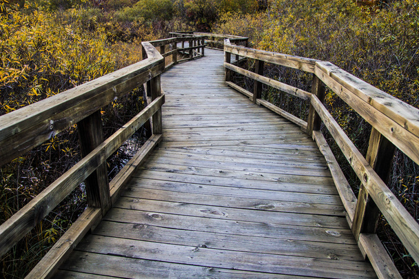Намотування Boardwalk шлях через на водно-болотних угідь - Фото, зображення