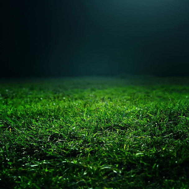 Natural green grass background  - Foto, afbeelding