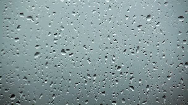 капли дождя на стеклянном фоне - Кадры, видео
