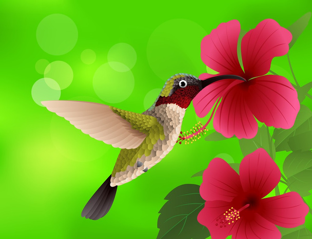 Hummingbird with red flower - Vetor, Imagem