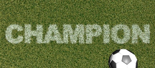 Campeón - letras de hierba en el campo de fútbol
 - Foto, imagen