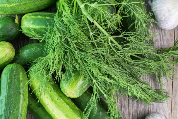 Farm organic cucumbers and fresh dill. - Foto, Bild