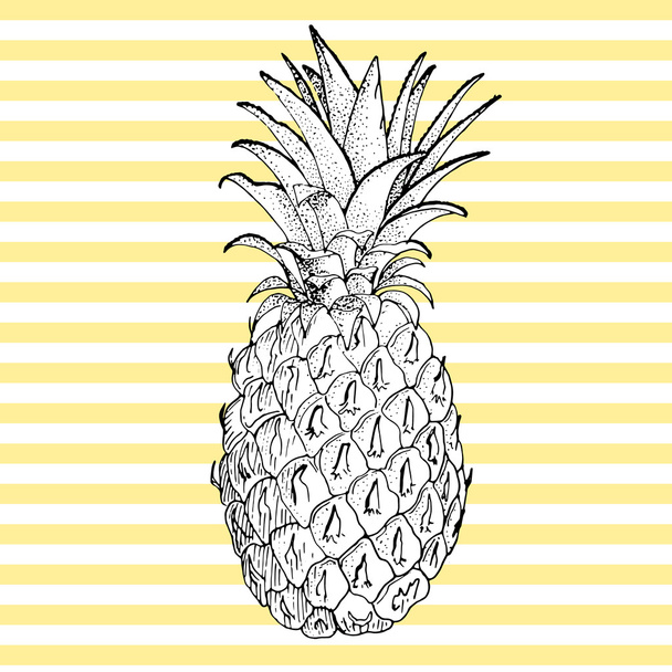 Hand drawn pineapple. Vector background - Вектор, зображення