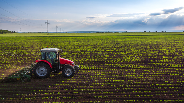 Traktorin viljelyskenttä keväällä  - Valokuva, kuva
