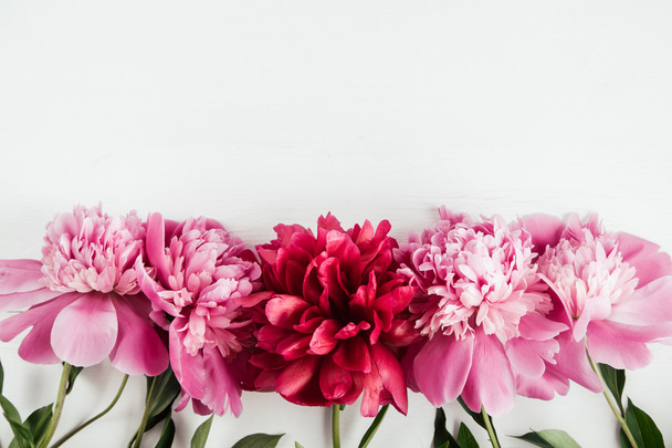 ピンクと赤の牡丹と夏の花背景 - 写真・画像