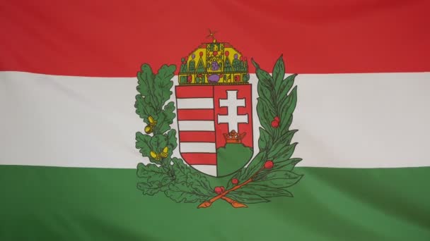 Ungheria stemma Bandiera tessuto reale primo piano
 - Filmati, video