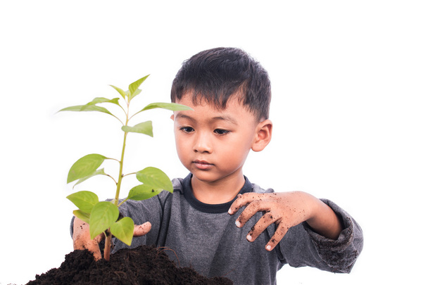 Lindo niño plantando árbol
  - Foto, imagen