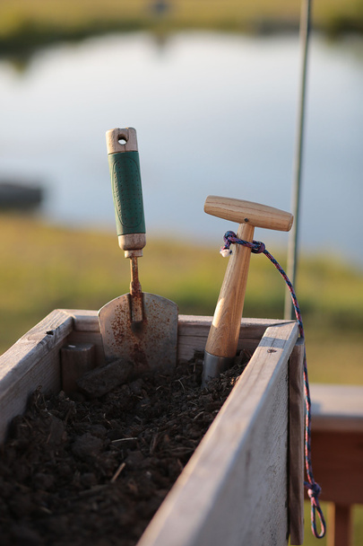 Garden Tools in planter box. - Photo, Image