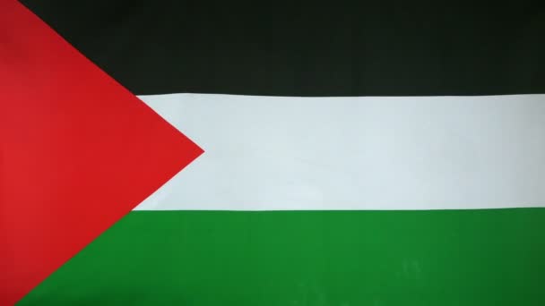 Stato della Palestina Bandiera tessuto reale da vicino
 - Filmati, video