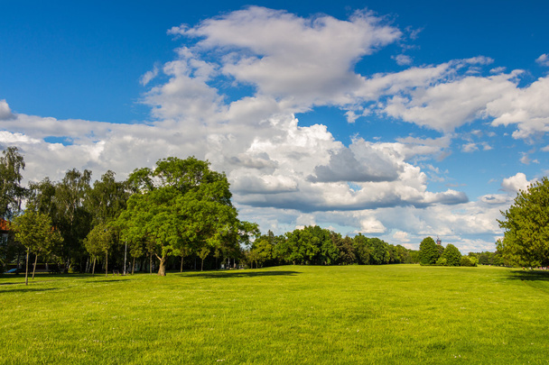 Park met groene weide en bos - Foto, afbeelding