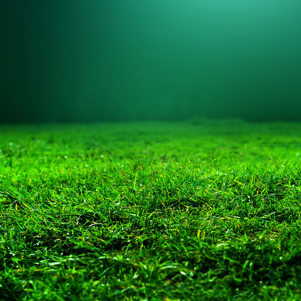 Natural green grass background  - Foto, Imagen