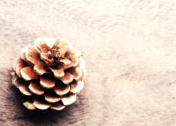 Christmas festive  pinecone - Fotoğraf, Görsel